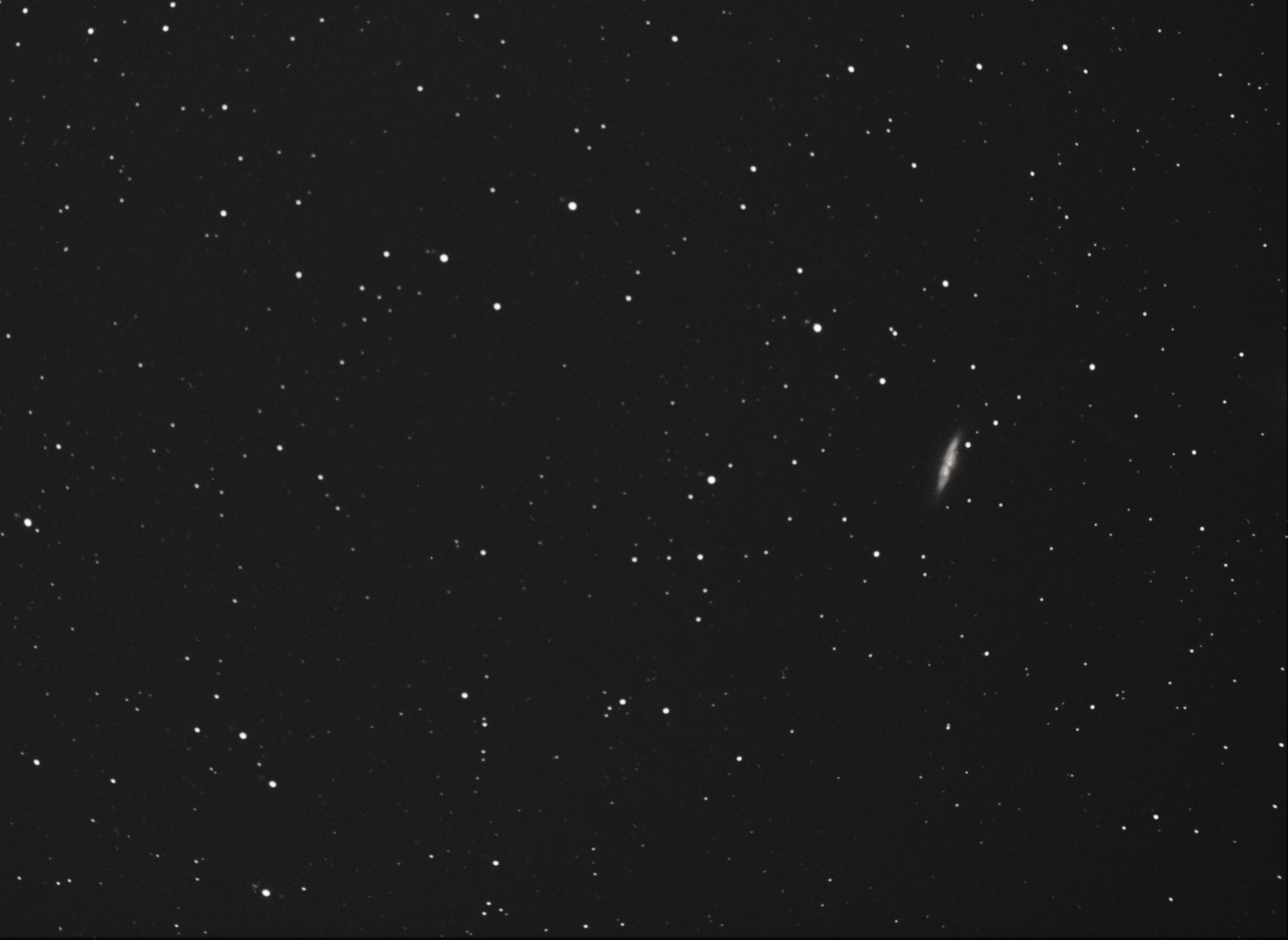M81-4.jpg