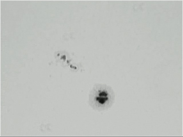 Object_20111224_1526_005.jpg
