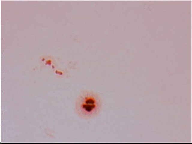 Object_20111224_1527_009.jpg