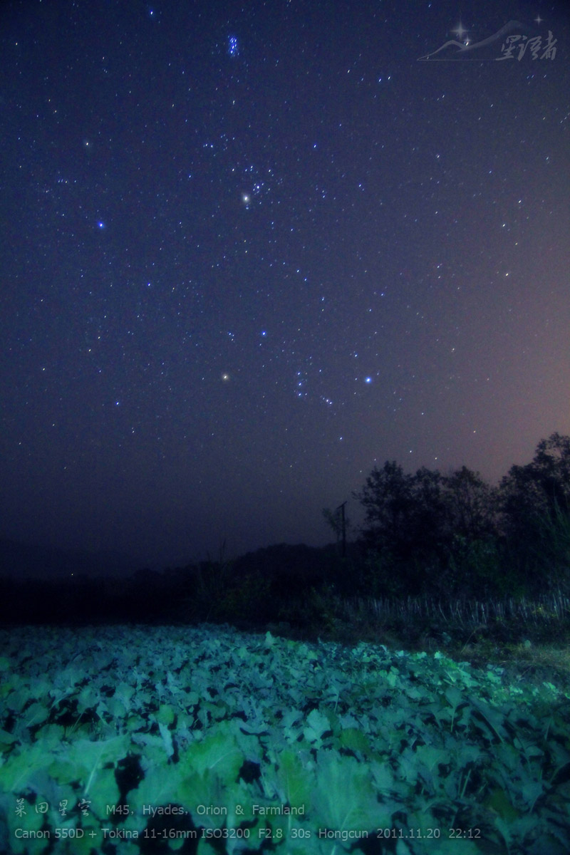 06菜田星空.jpg