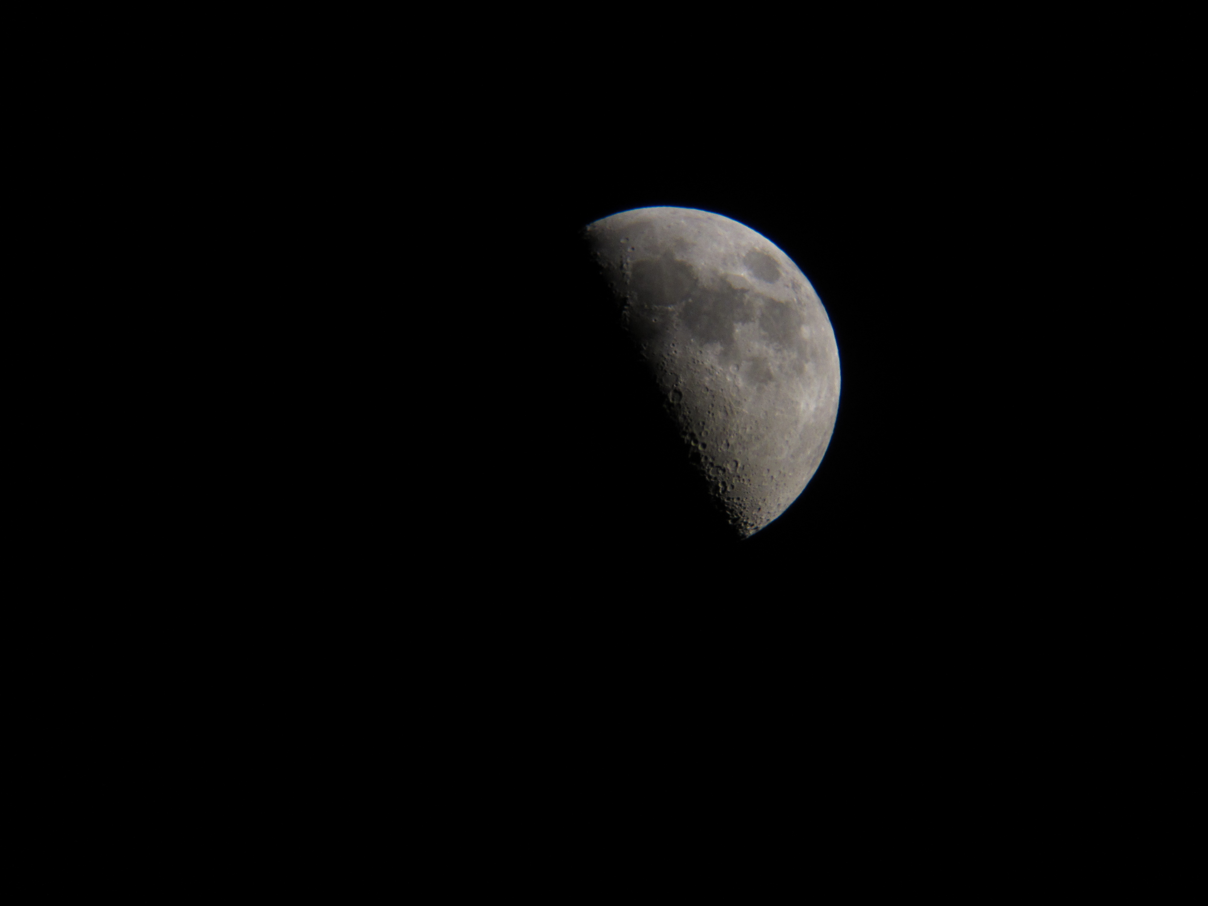 IMG_0413.jpg