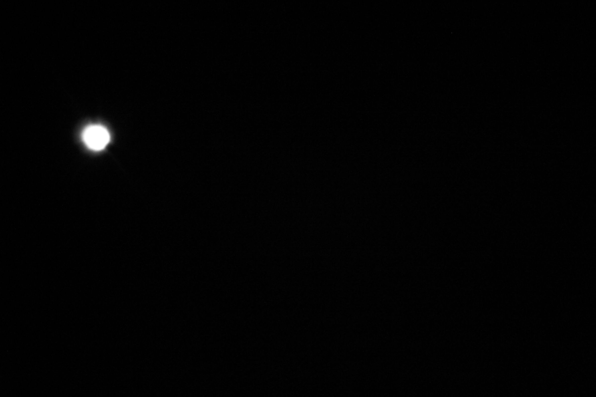IMG_1334_conew1.jpg