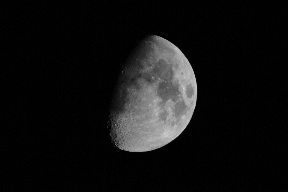 DSC00789.JPG