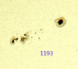 04191193.jpg