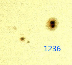 06191236.jpg