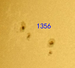 11221356.jpg