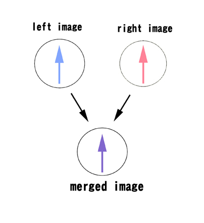 immarge.jpg