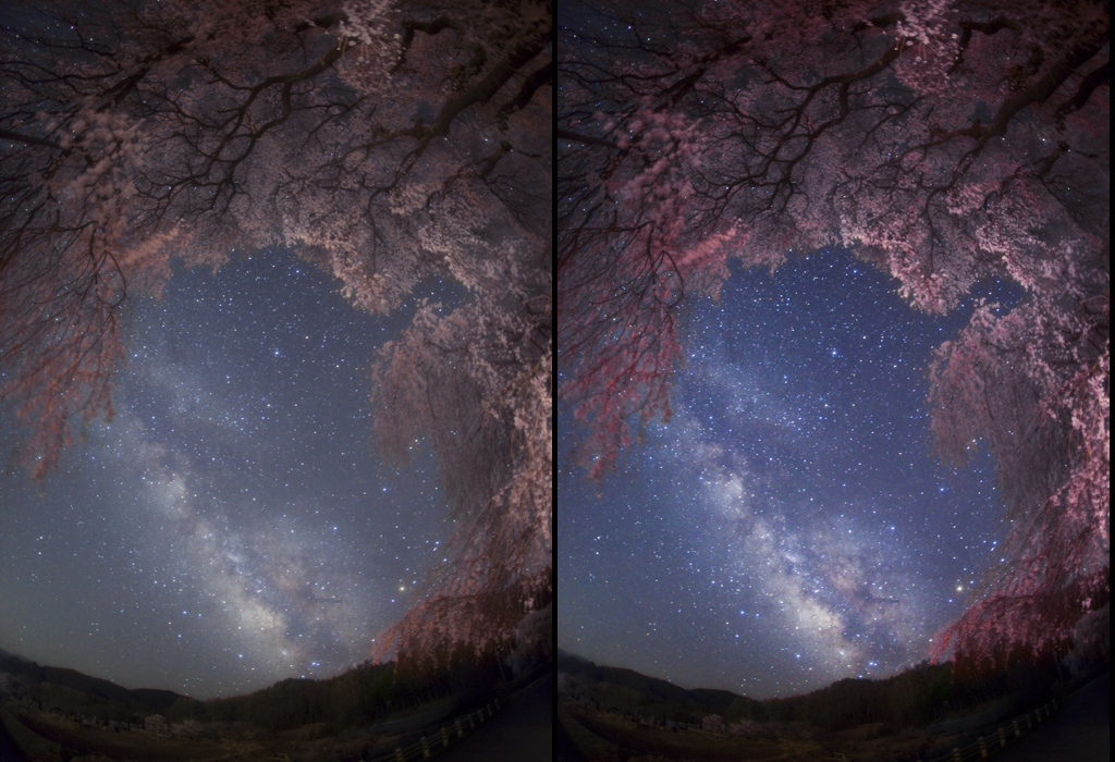 樱花.jpg