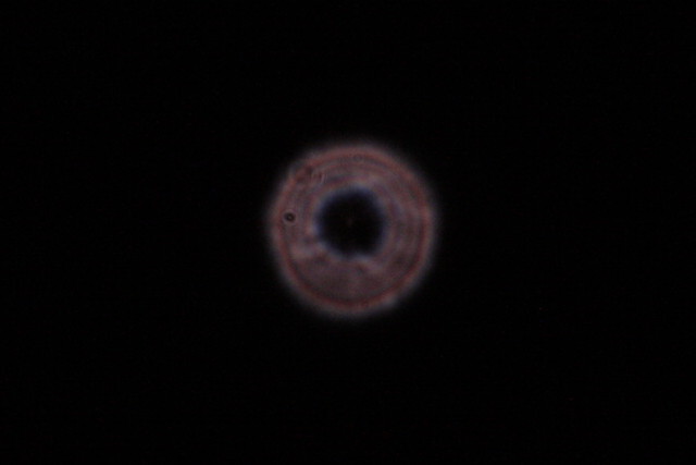 4828714-200x 3.jpg