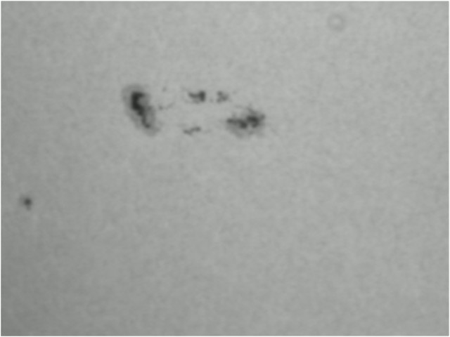 Object_20120108_1205_033.jpg
