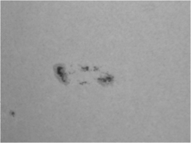 Object_20120108_1156_014.jpg