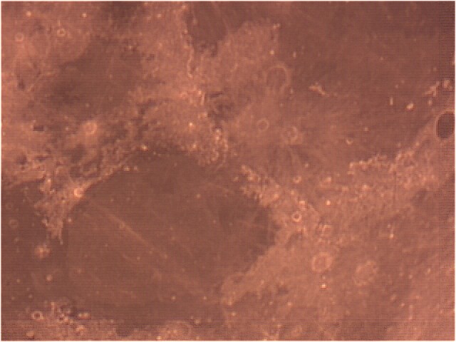4100-059.jpg