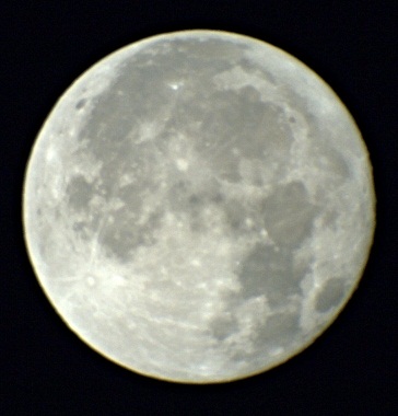 DSC_0003raw处理 - 副本.jpg