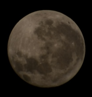 DSC_0003.JPG