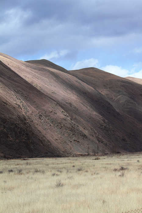 DPP_0018.jpg