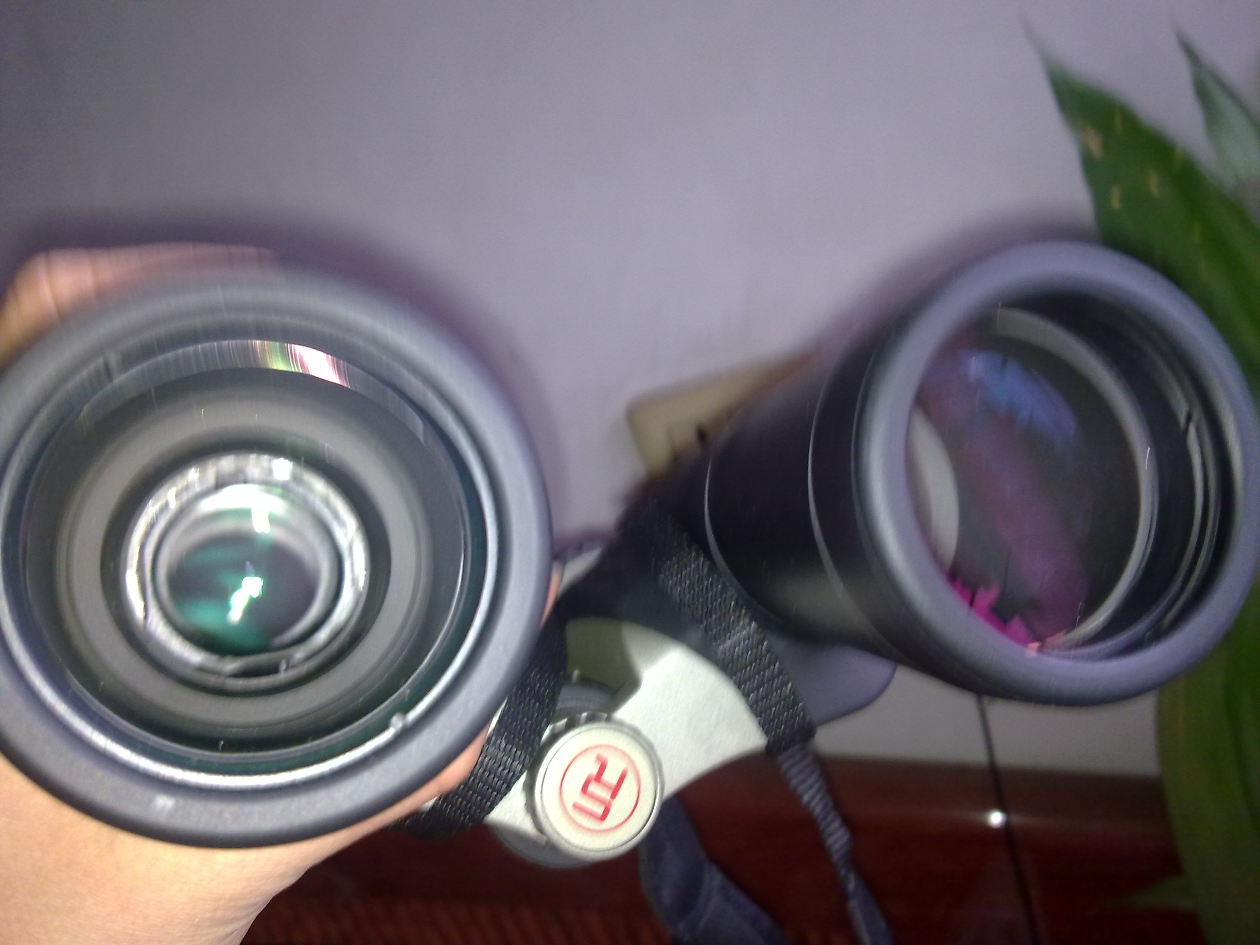20120112037.jpg