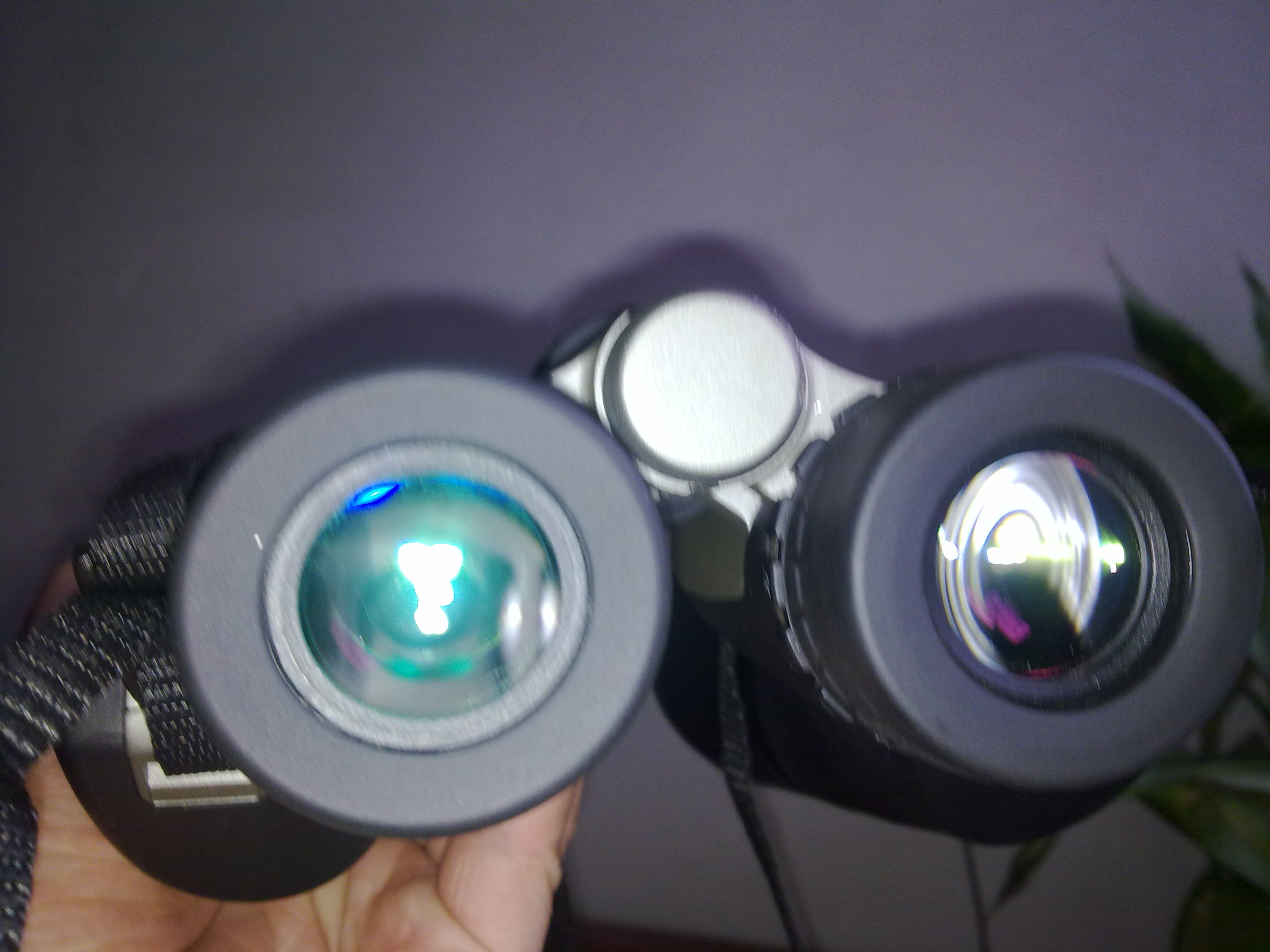 20120112038.jpg