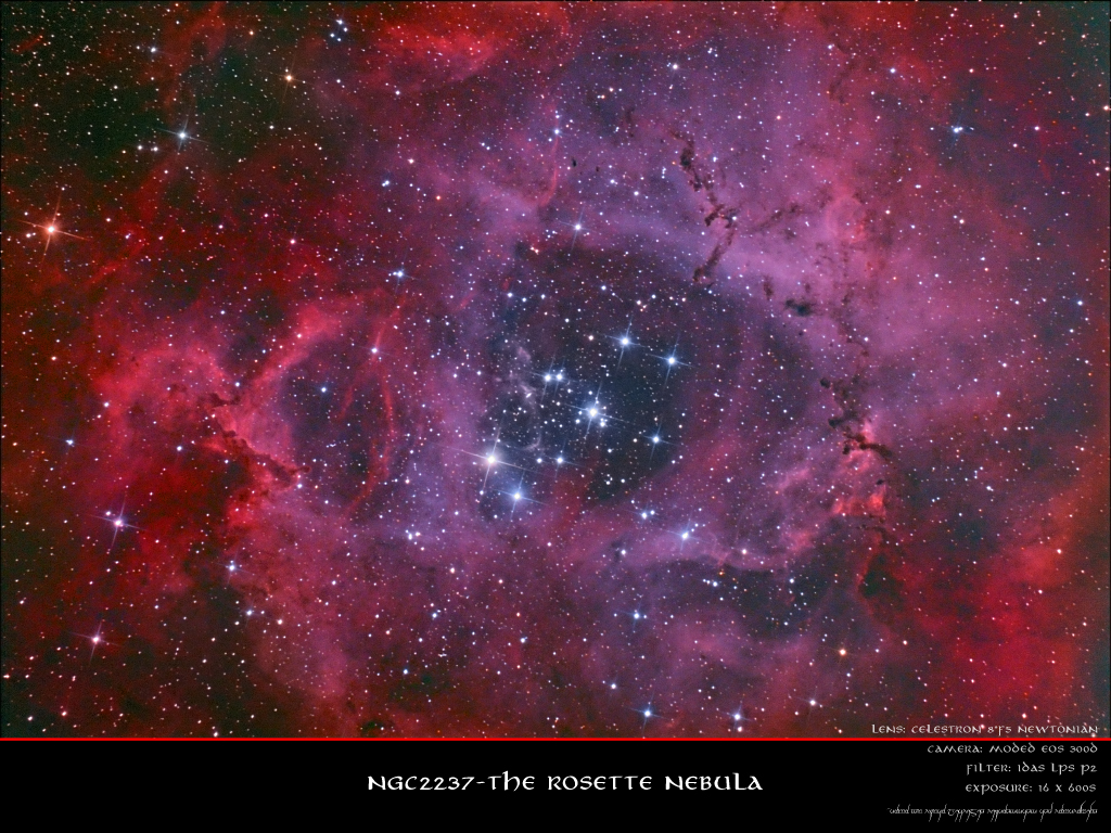 NGC2237_D.jpg