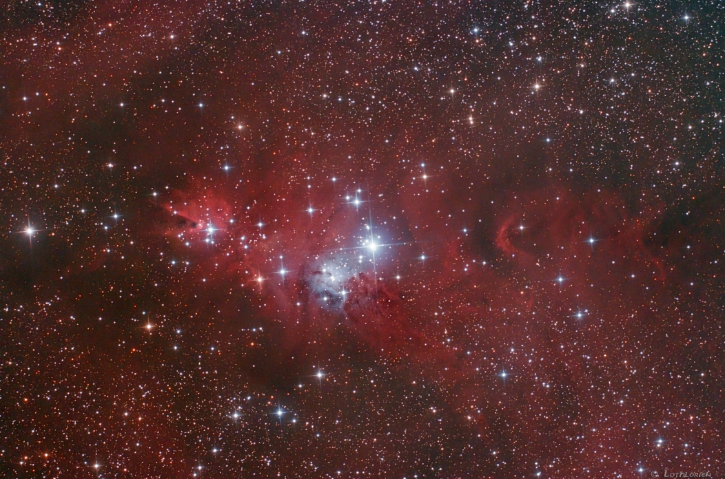 NGC2264_v1.jpg