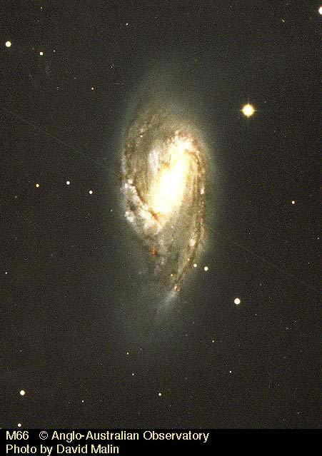 M66.jpg