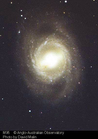 M95.jpg