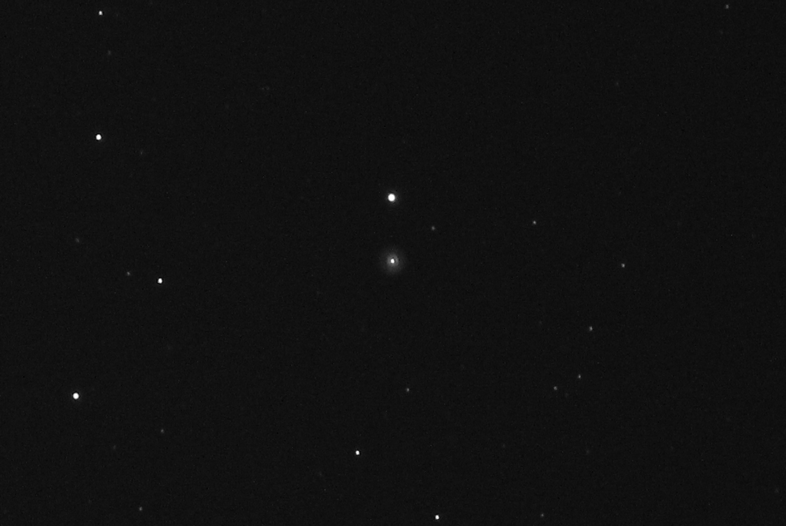 C39.jpg