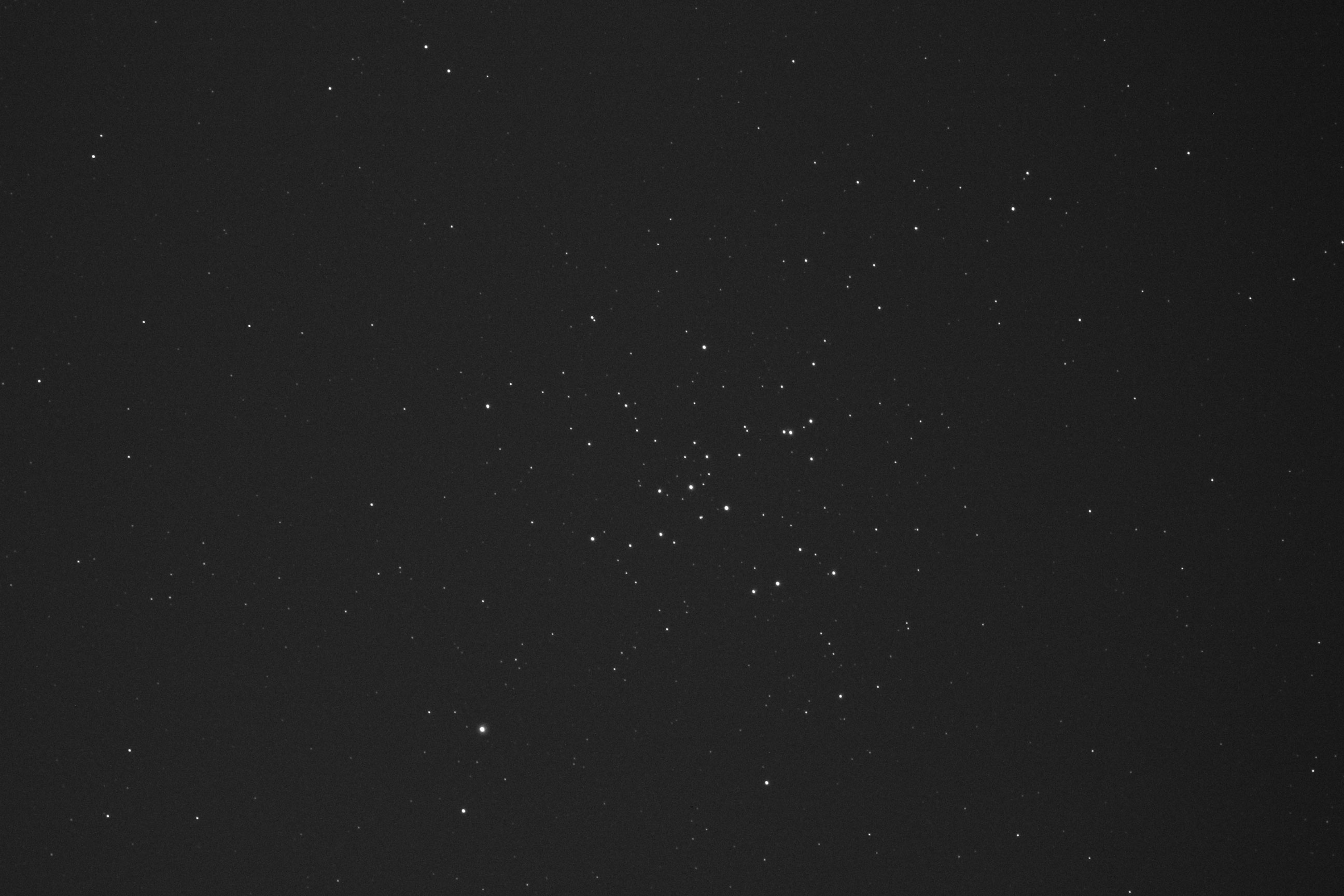 M41.jpg