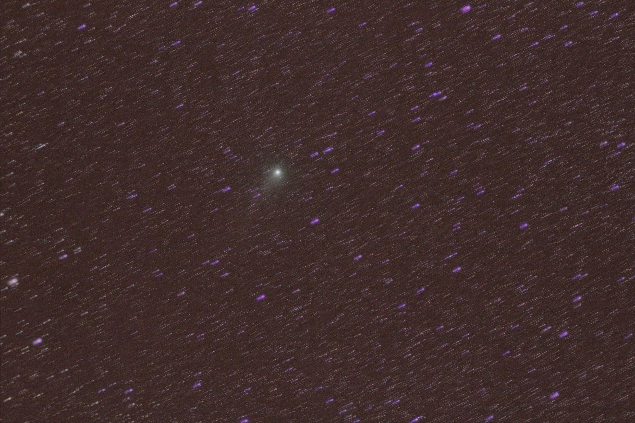 C2009P1.jpg