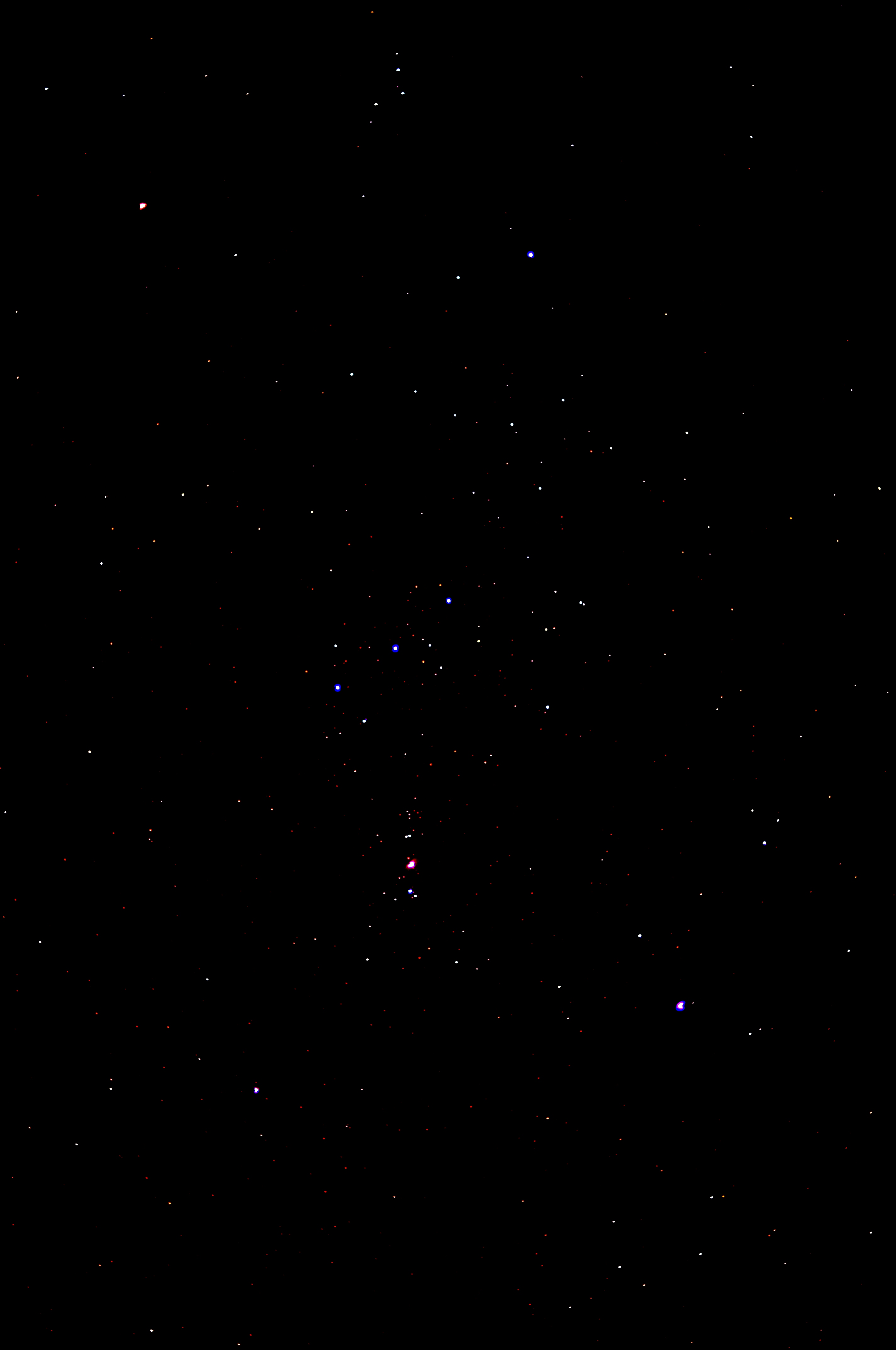 DSC_4530.JPG