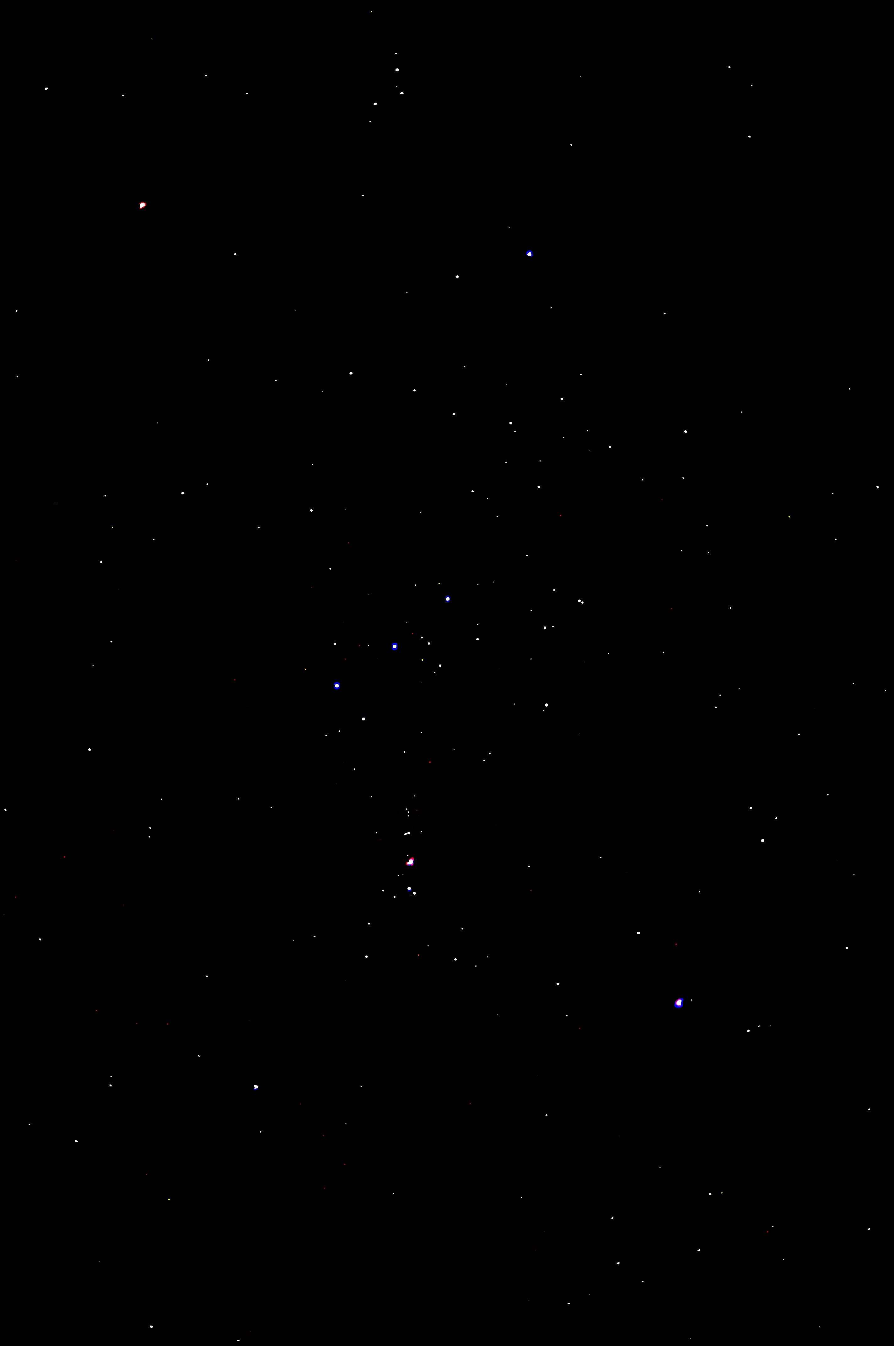 复件 DSC_4530.JPG