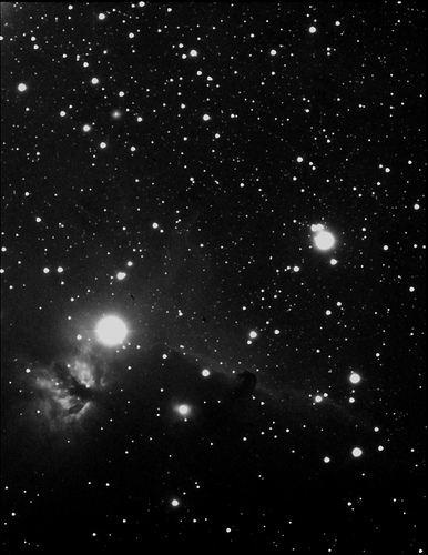 horsehead.jpg