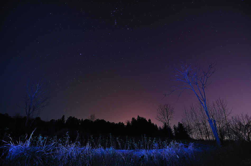 DSC_6502_0016.jpg