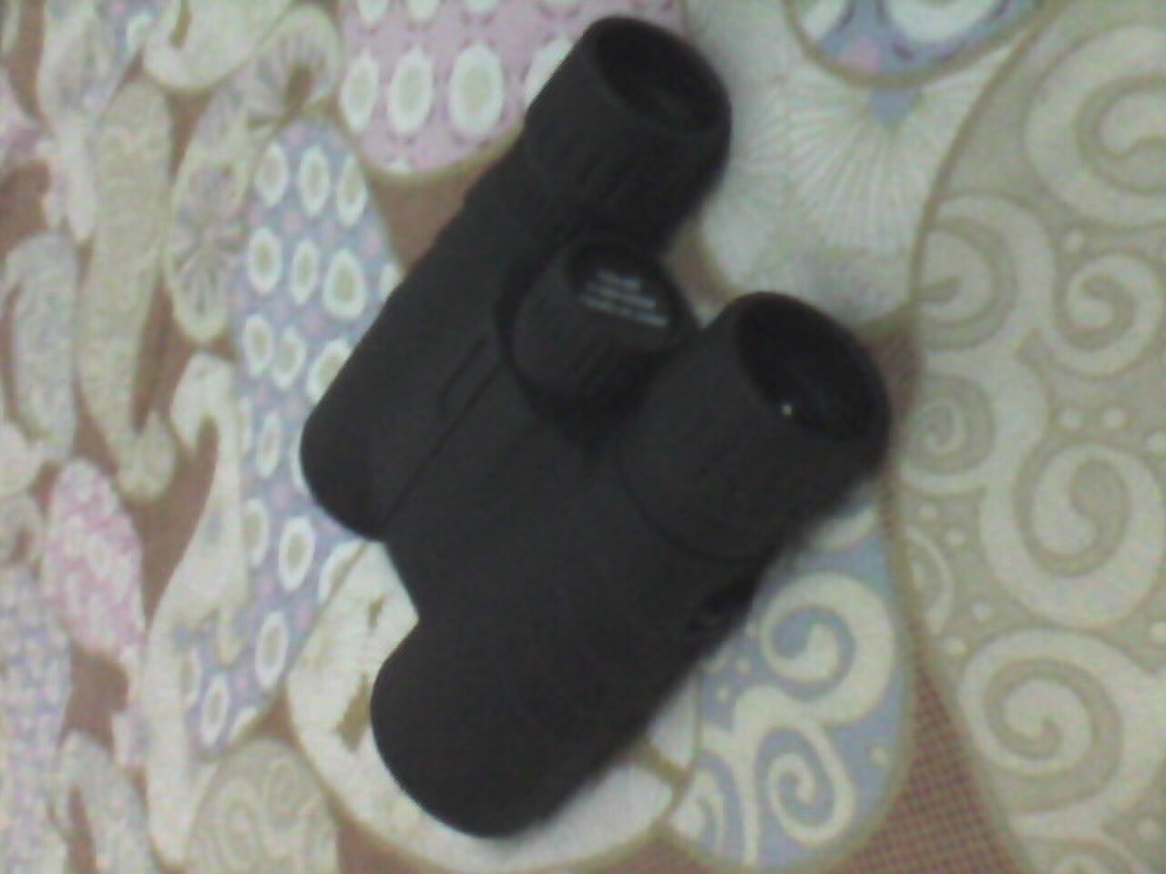 20120125213105.jpg