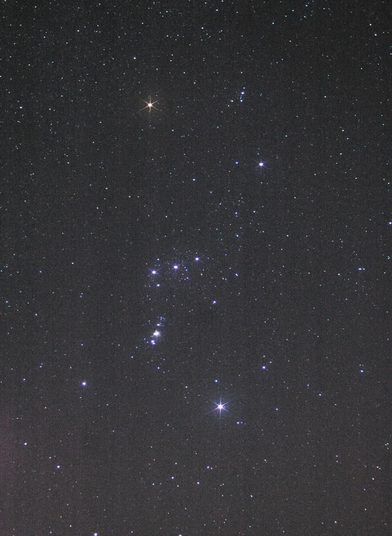 DSC_6285.jpg
