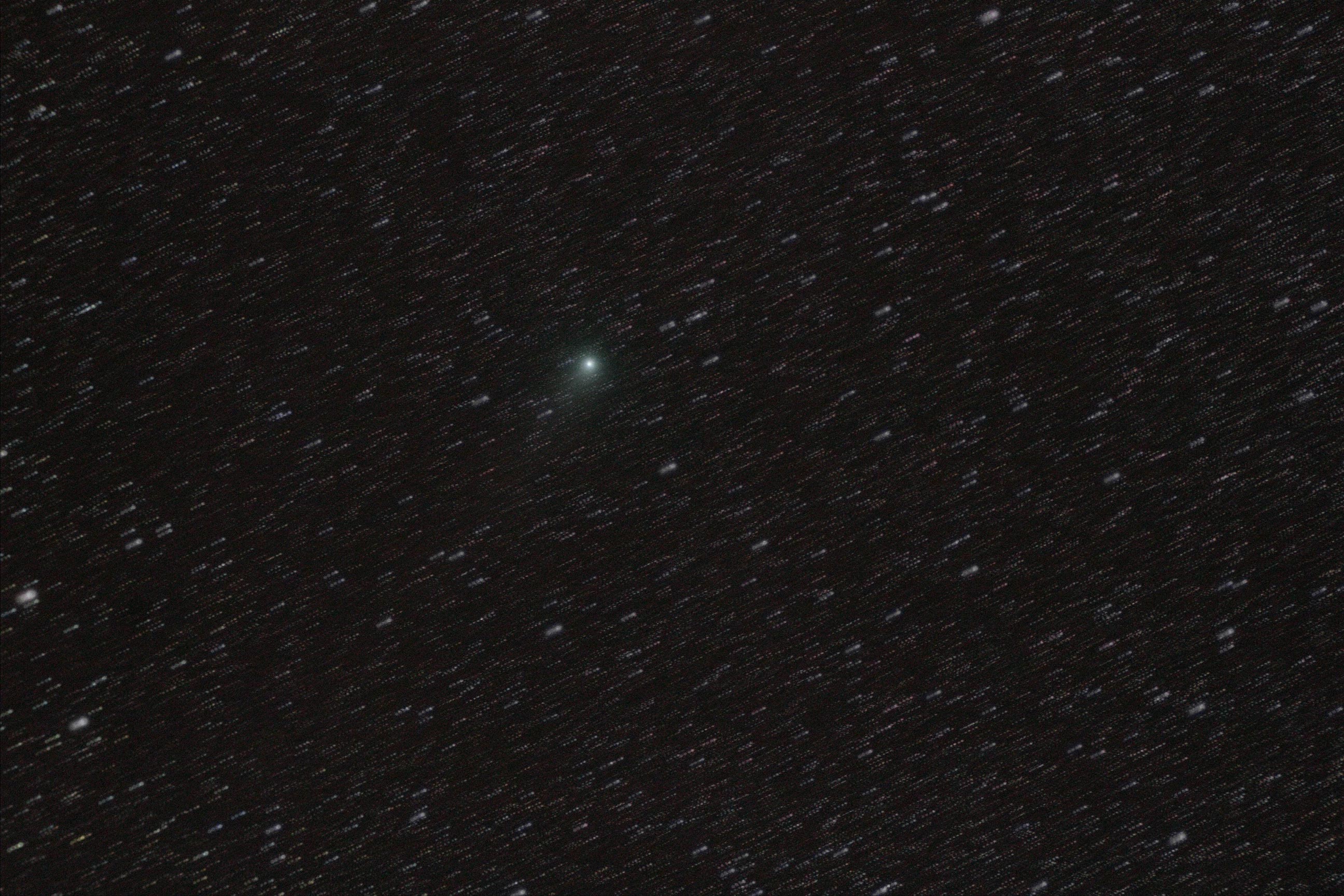 C2009P1.jpg
