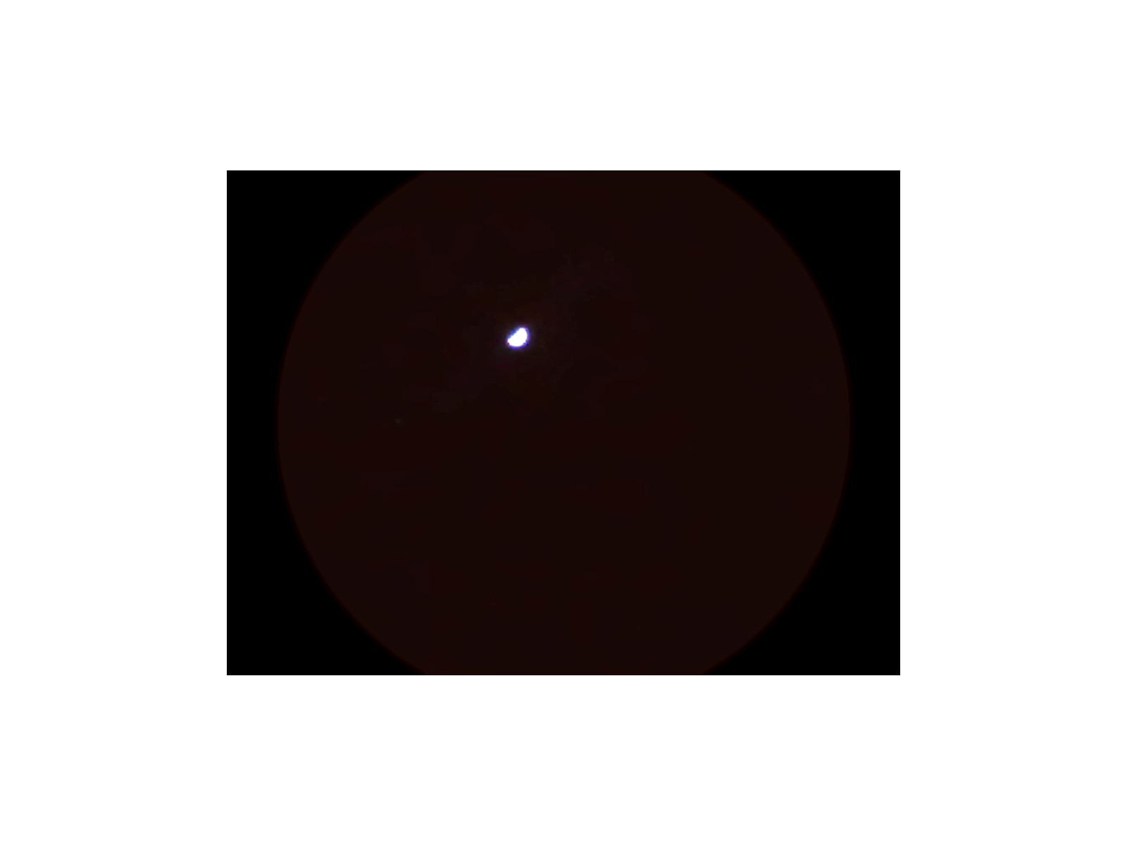 20120130209_conew1.jpg