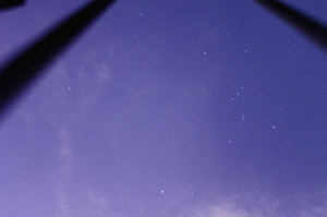 _MG_9432_副本..gif