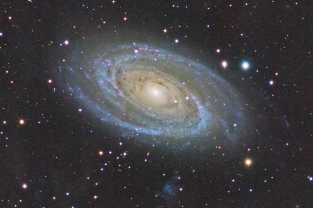 m81.jpg