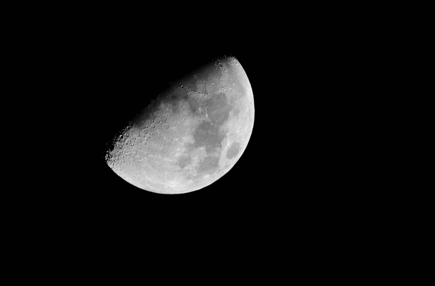 DSC_2621.jpg
