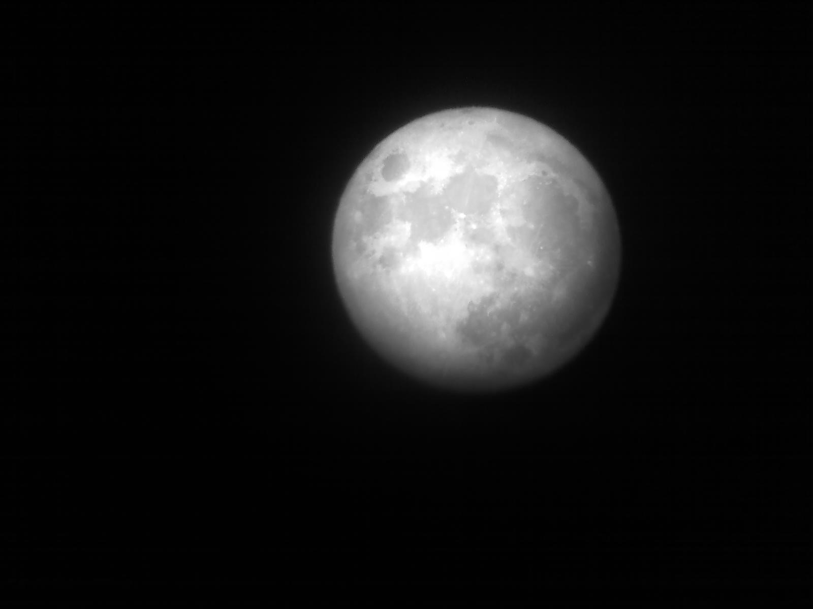 20100429036.jpg
