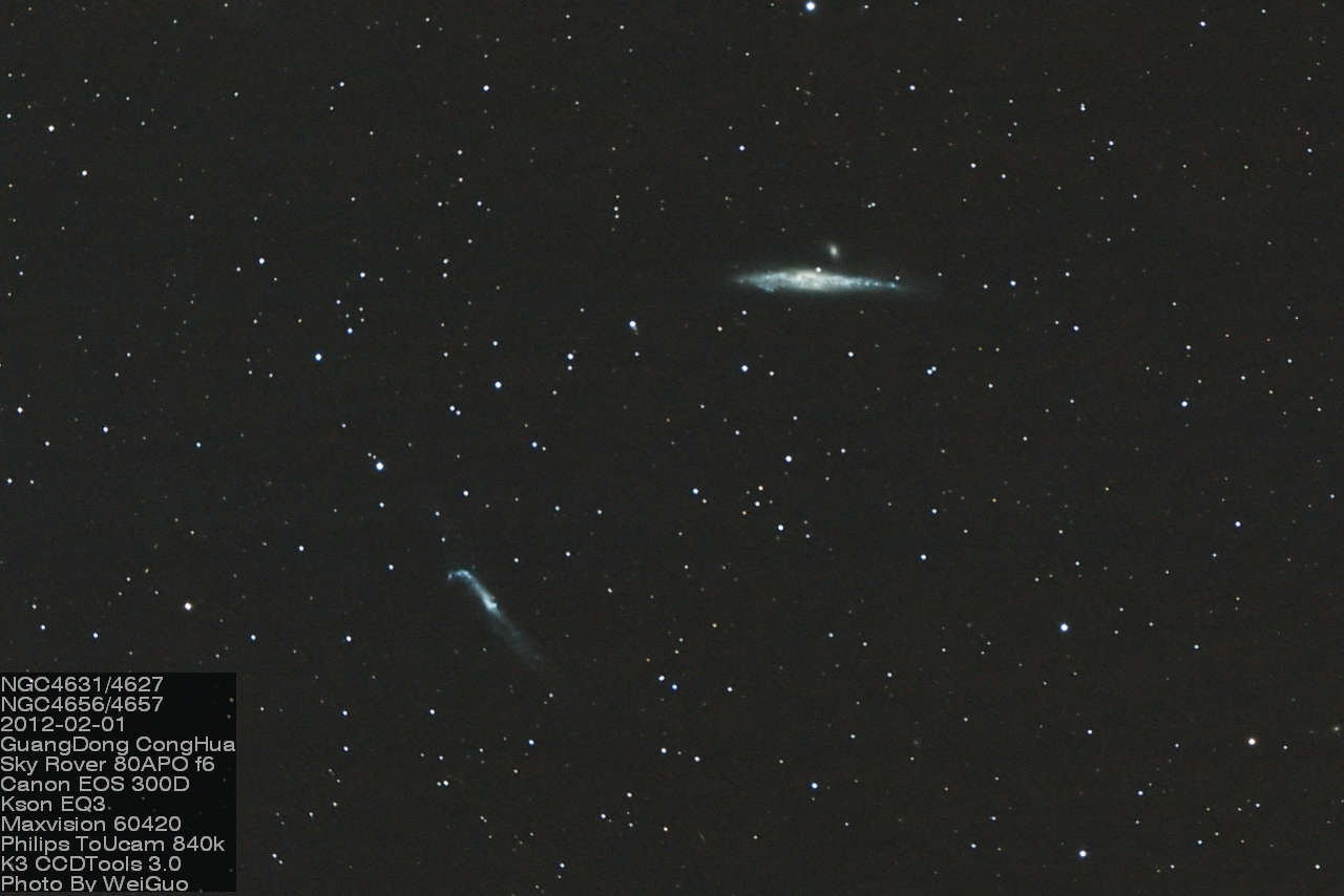 ngc4631x.jpg