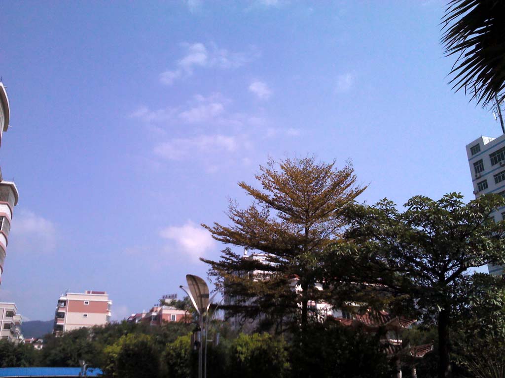 20120205_134300.jpg