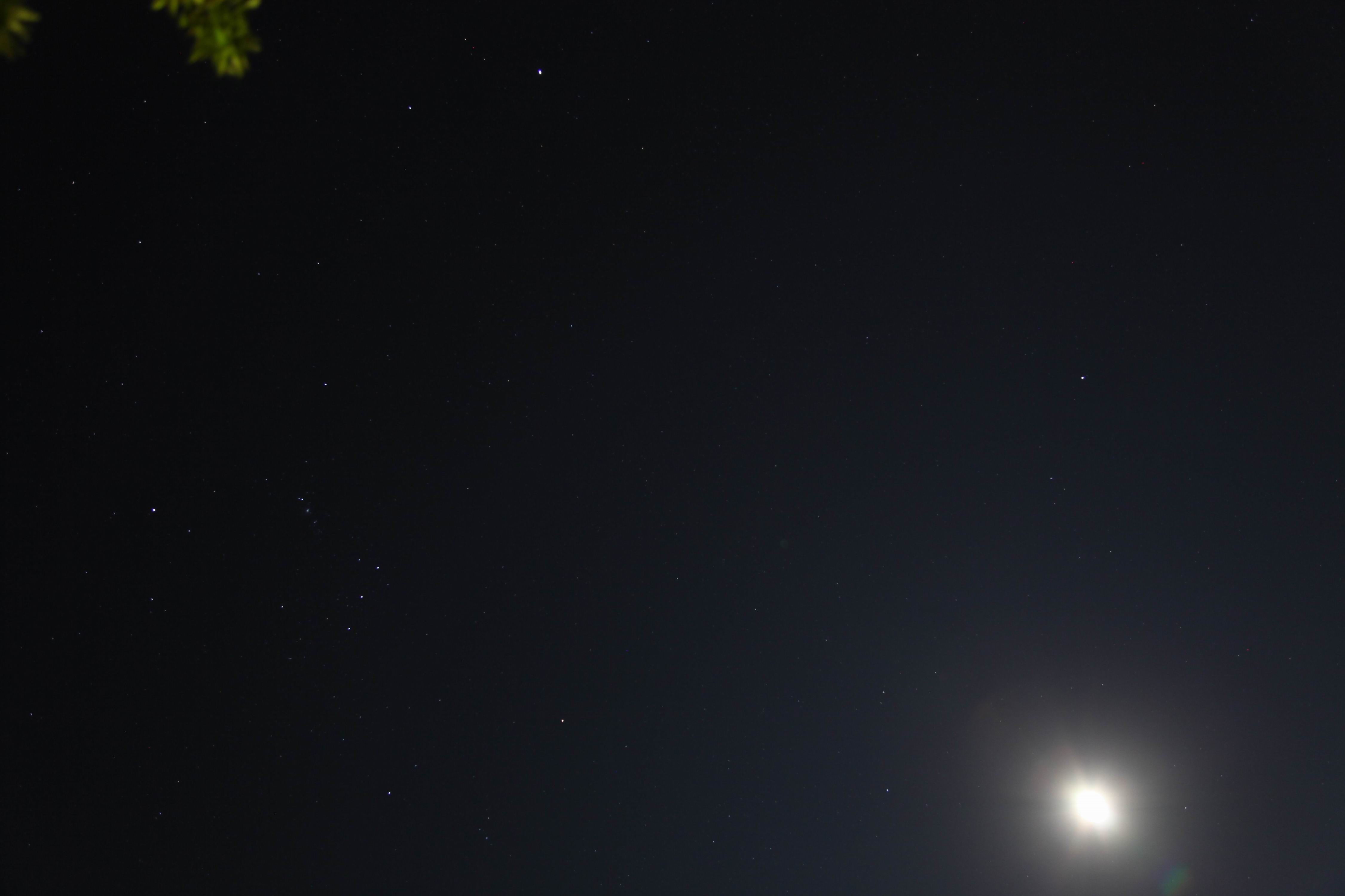 Resize of IMG_5265a.jpg