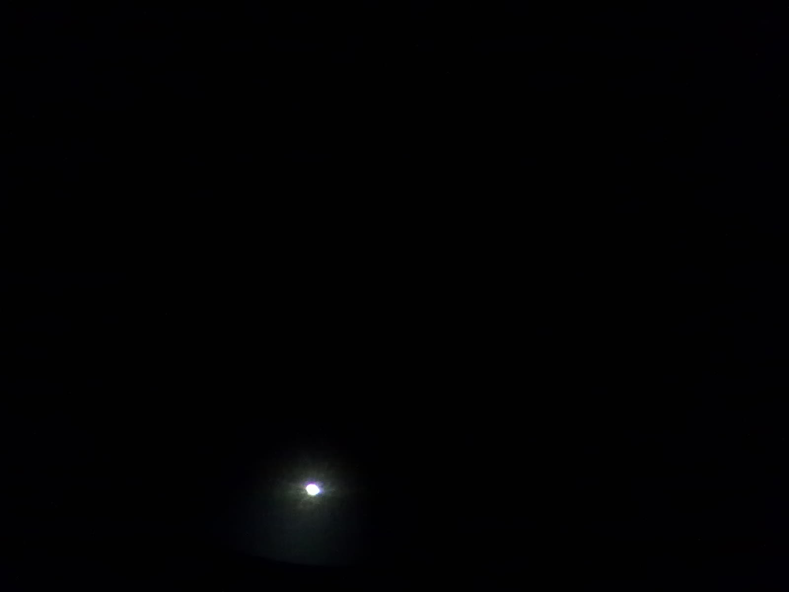 201202051505.jpg