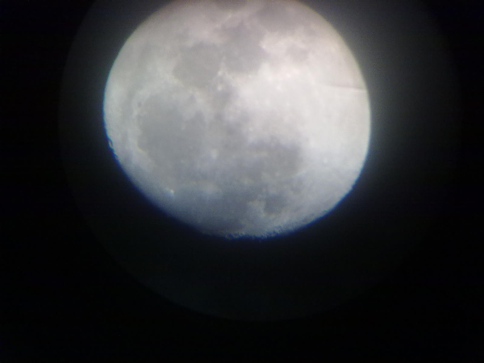 201202051511.jpg