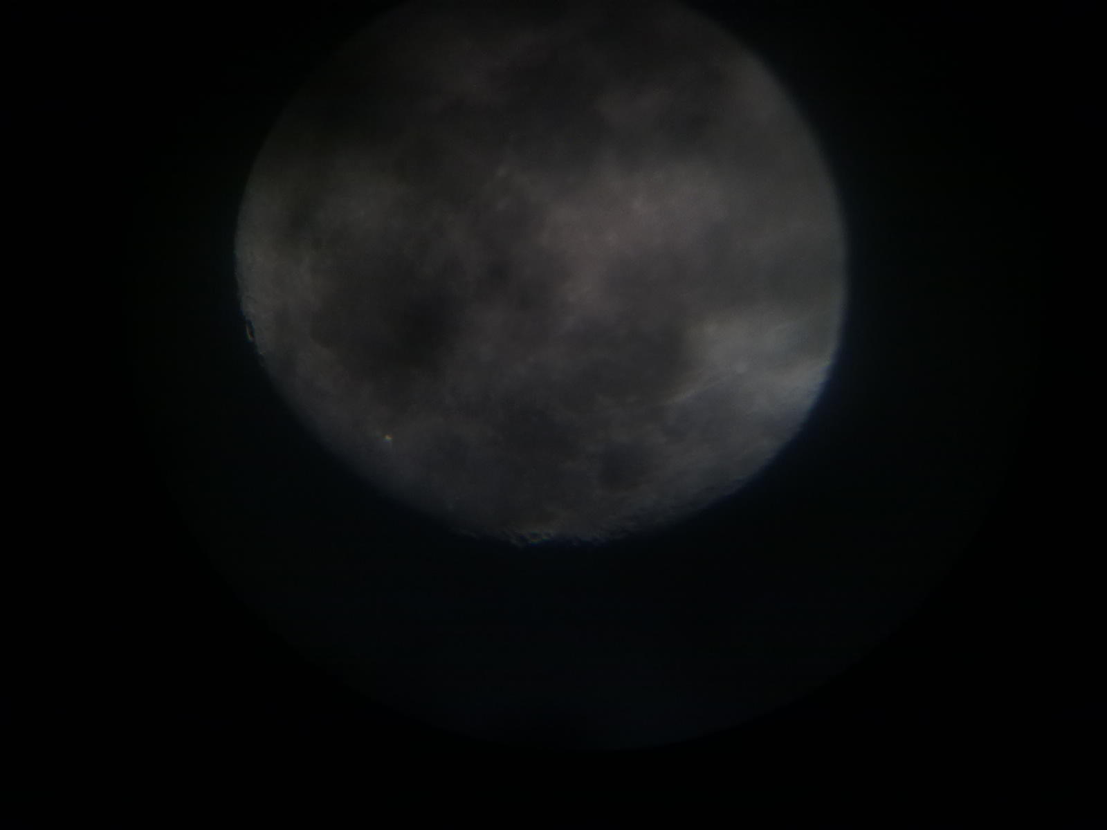 201202051512.jpg