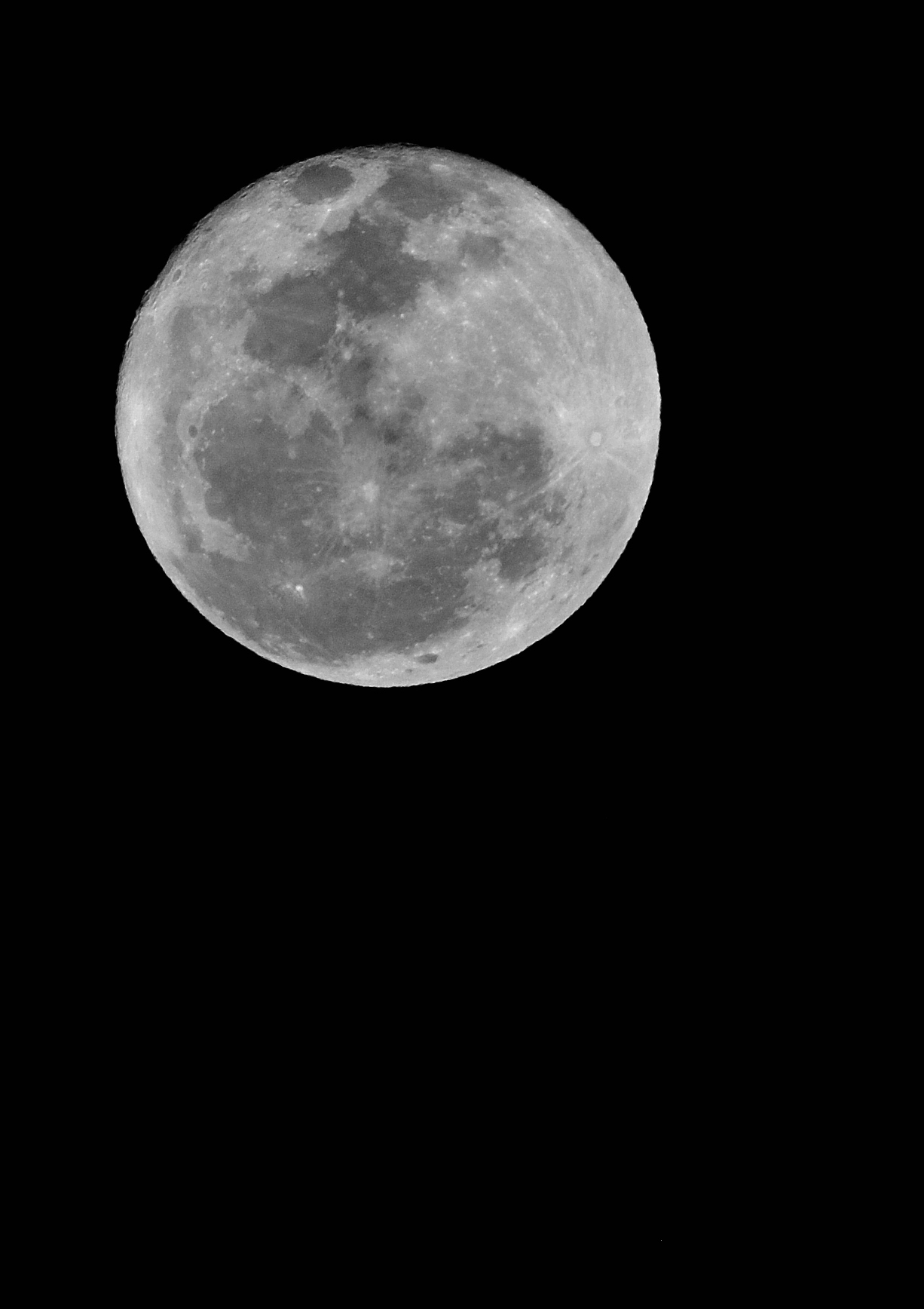 DSC_2691.jpg