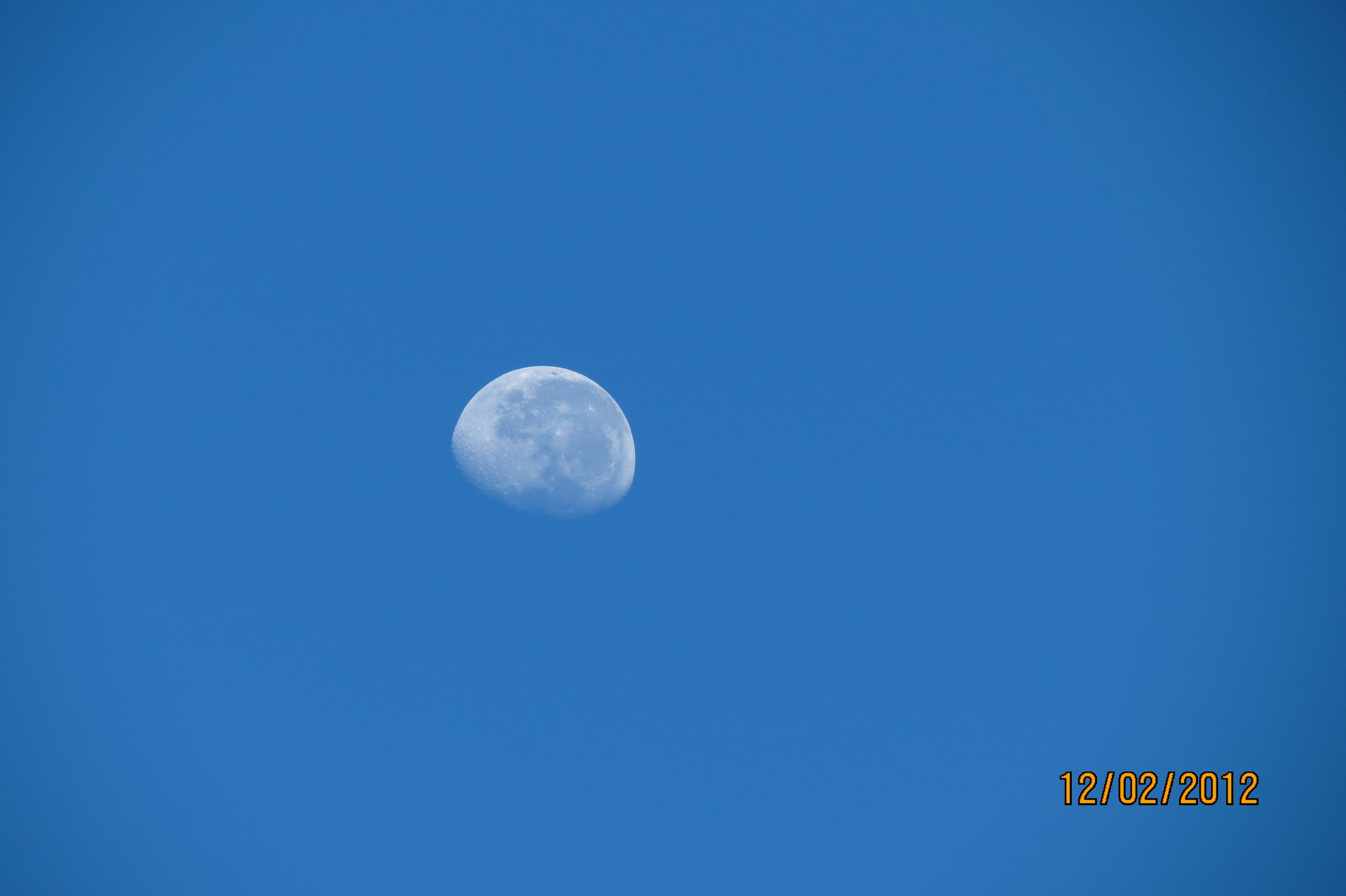 IMG_0228.jpg