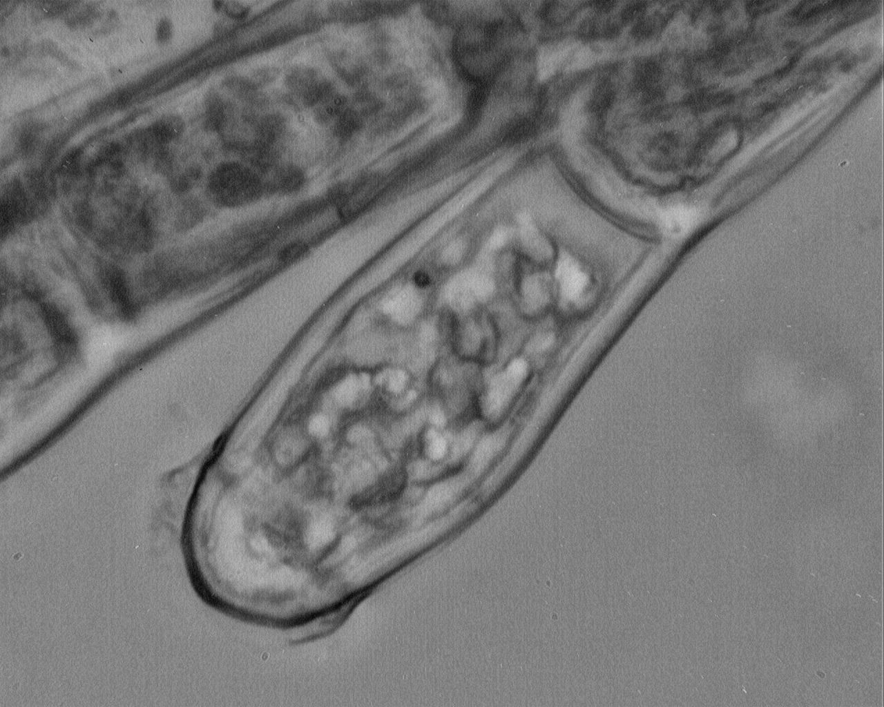 2011-12-22-14.01.54 ZS PMax.jpg