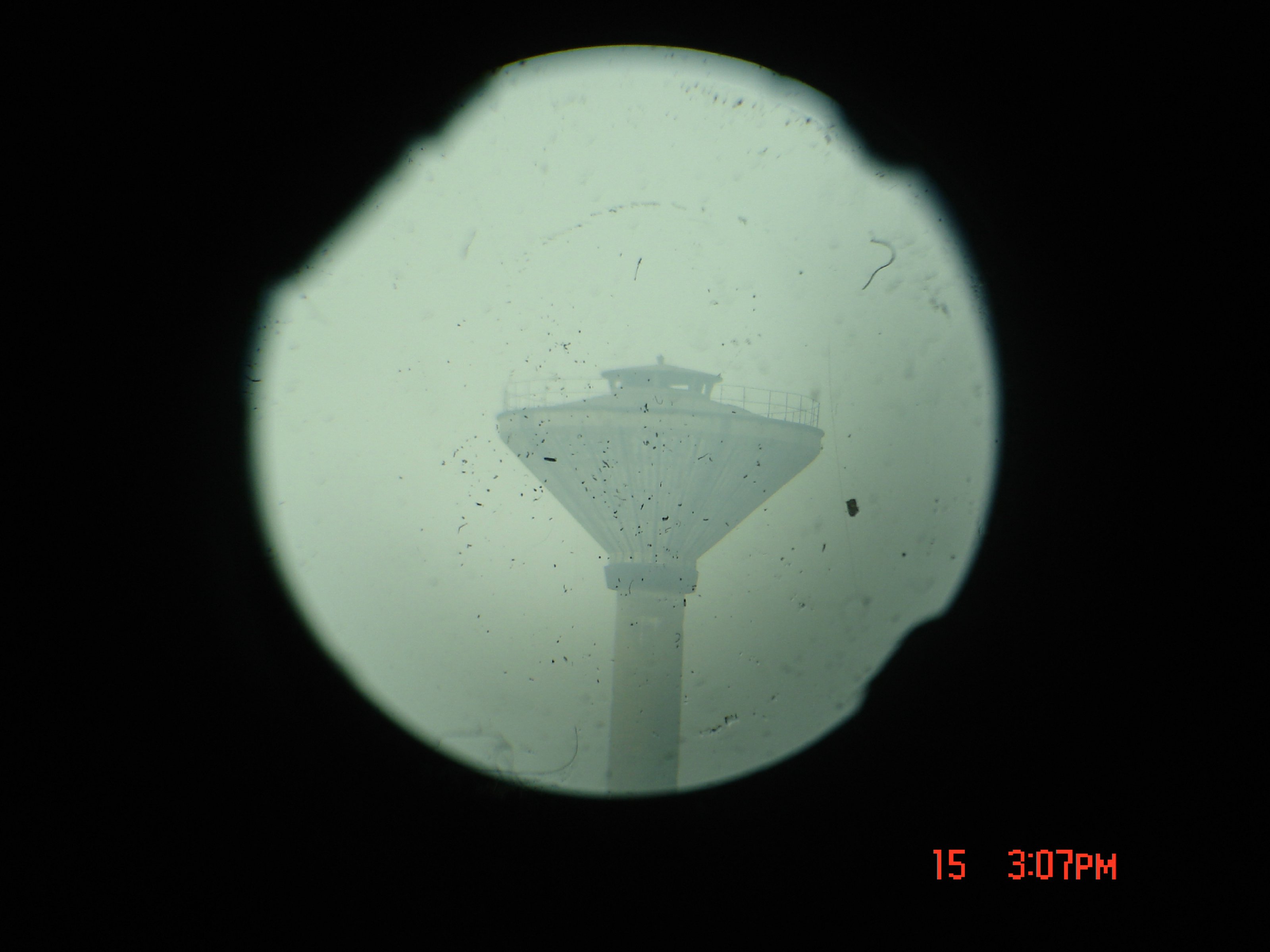 DSC02824.JPG